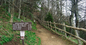Appalachian Trail - 04.08.2021